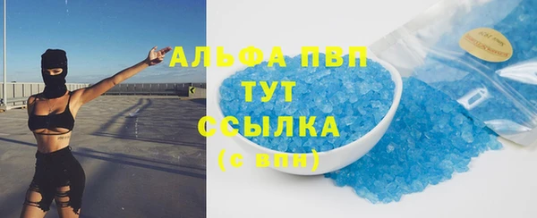 прущие грибы Абинск