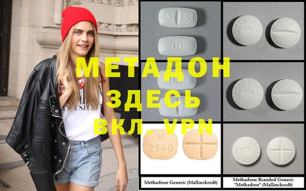 прущие грибы Абинск