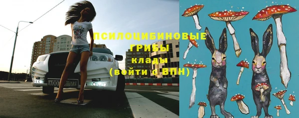 spice Алзамай