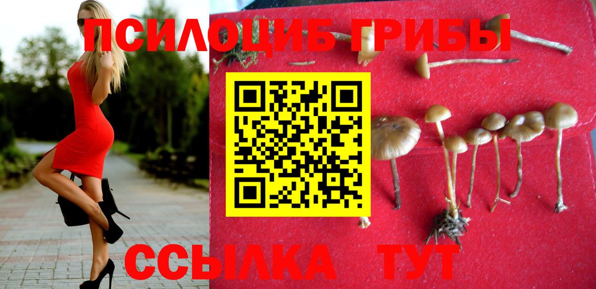 Псилоцибиновые грибы ЛСД Сунжа