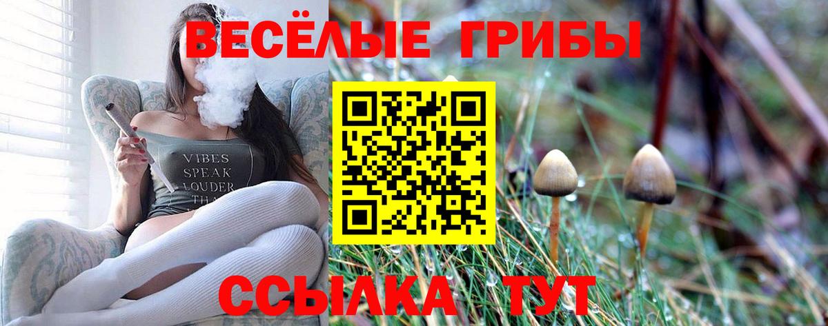 Псилоцибиновые грибы ЛСД  Псилоцибиновые грибы ЛСД  Вход с VPN  Сунжа 