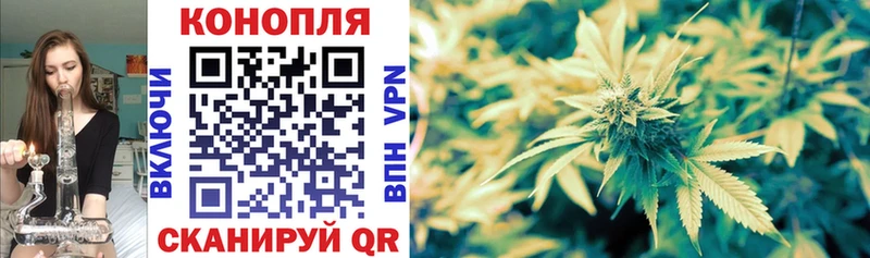 Бошки марихуана VHQ  Сунжа 